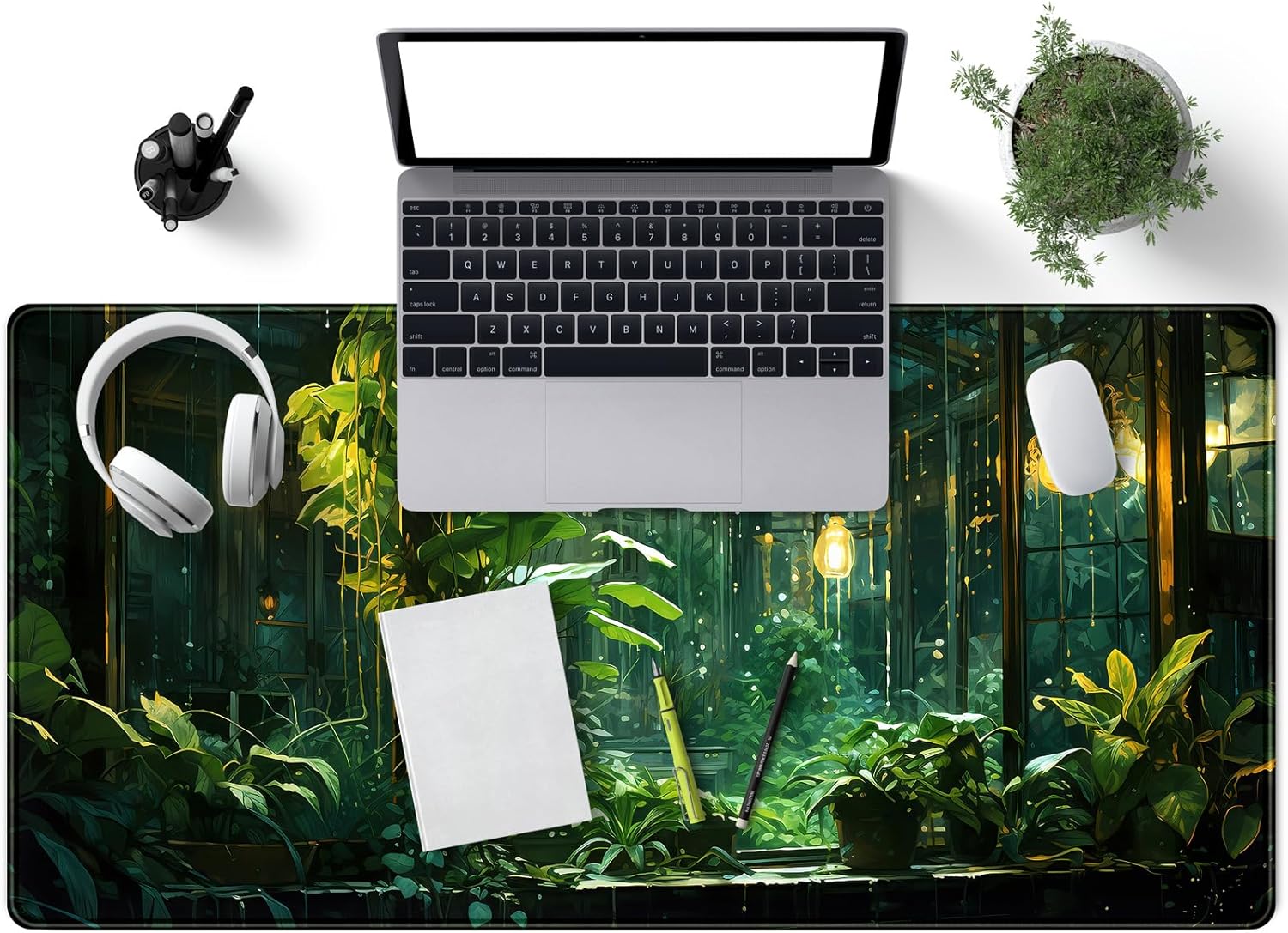 aesthetic-plant_0